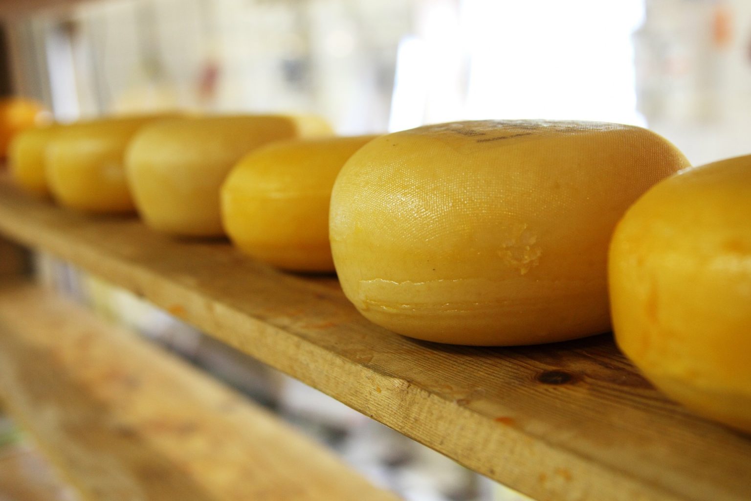 Moose Cheese Τυρί Άλκης Stavros Psomopoulos Moose Cheese
